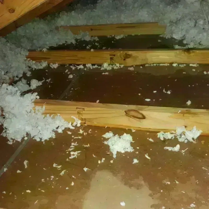 Attic Water Damage in Riverview, DE